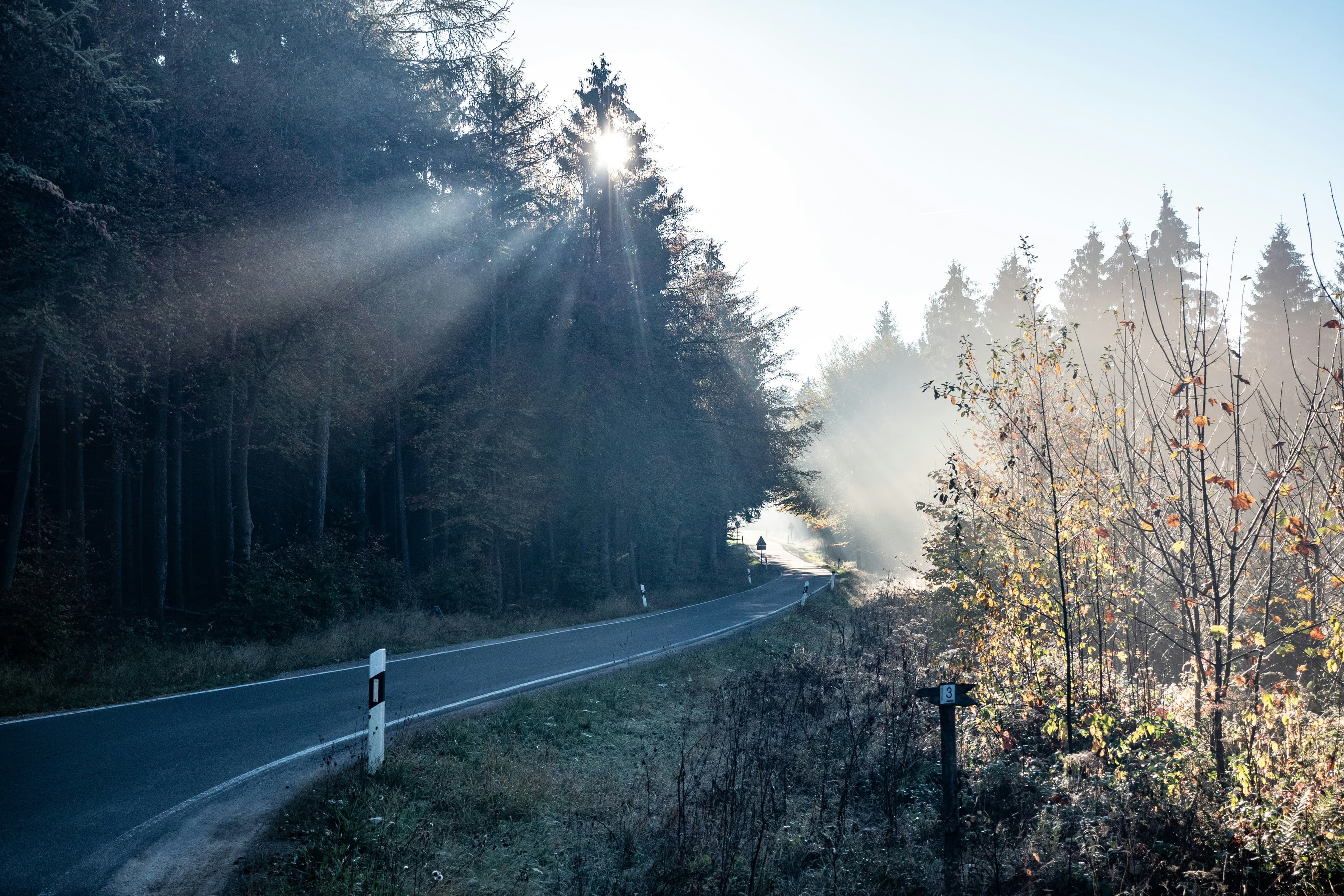 Elbil-roadtrips i Tyskland: opladning, omkostninger og ruter